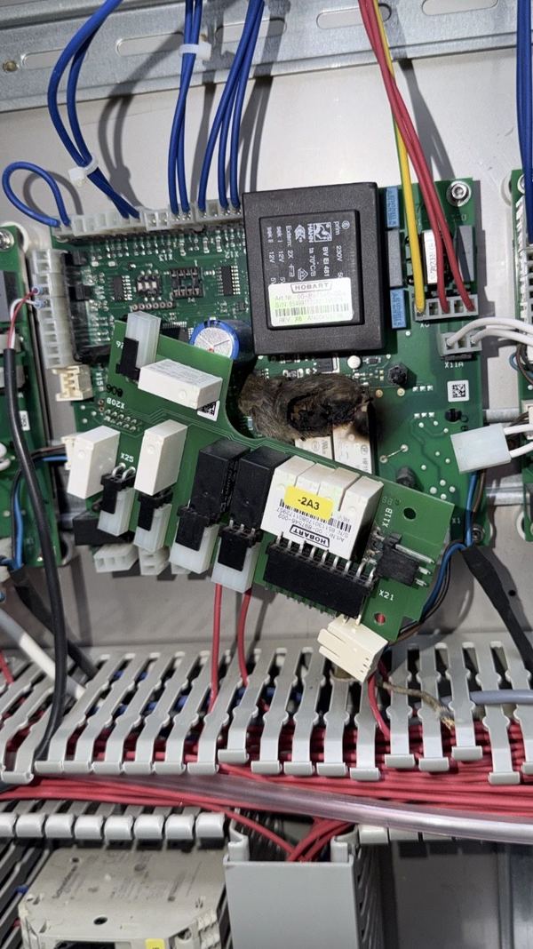 Oven control board and wiring being tested